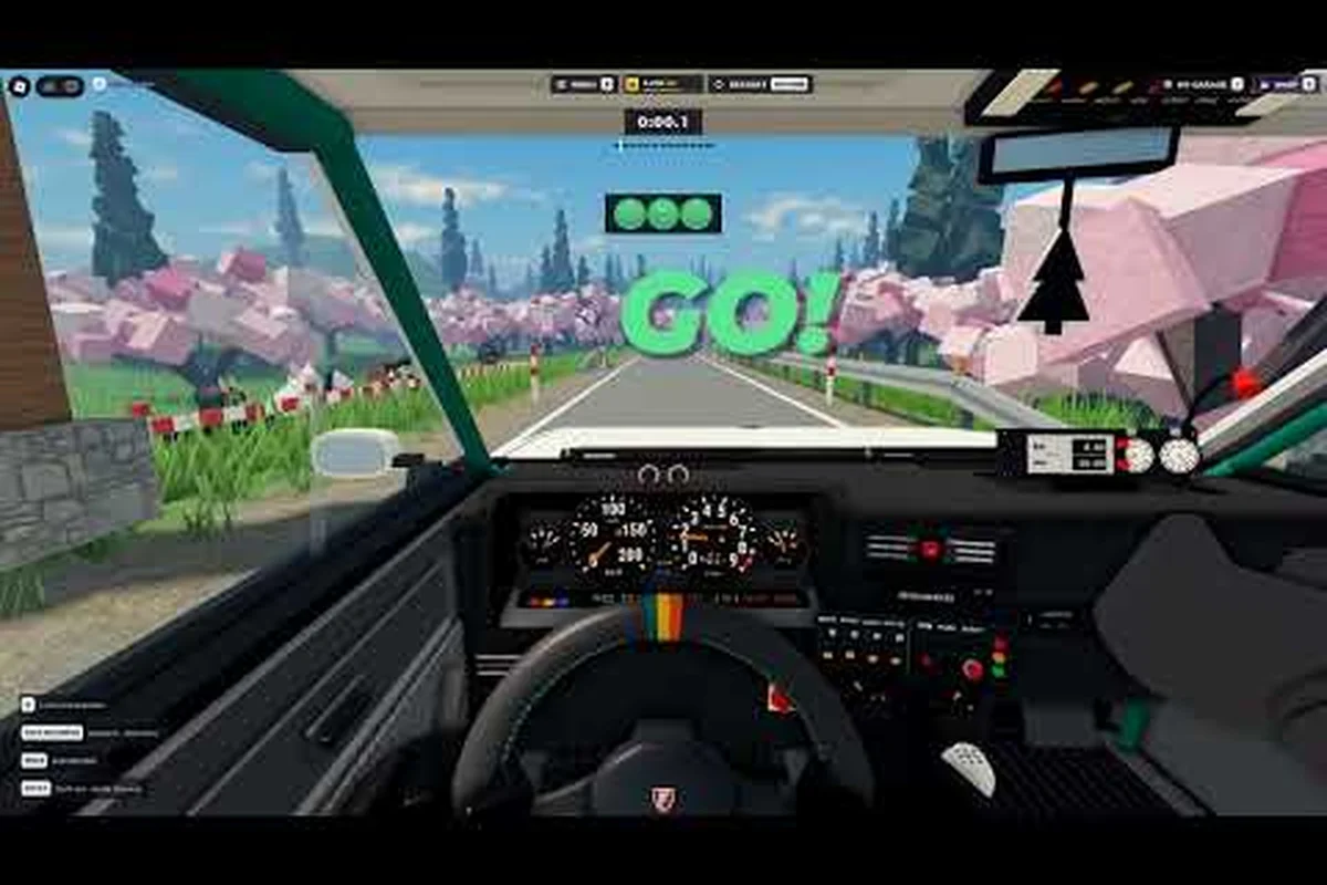 Backseat Rally Level List: Courses, Maps, and Stage Tactics